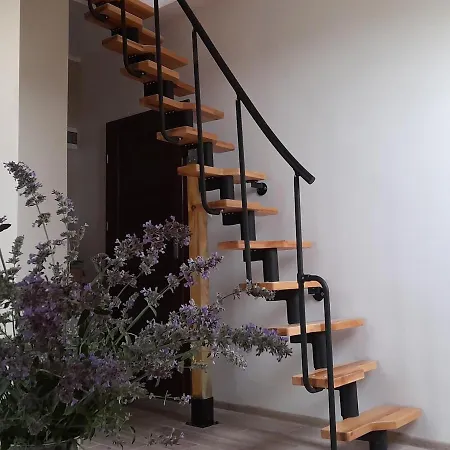 Villa Horizon Rowy  Eksteriør bilde