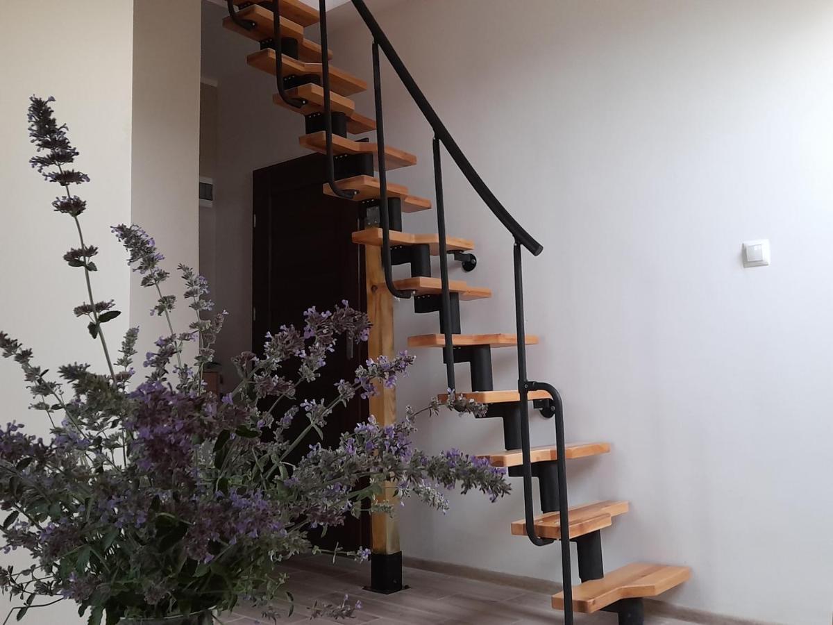 Horizon Homestay Rowy (Pomerania)